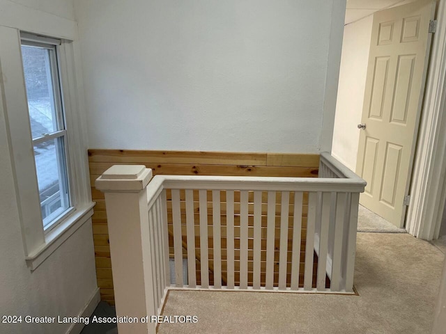 stairs with carpet flooring and plenty of natural light