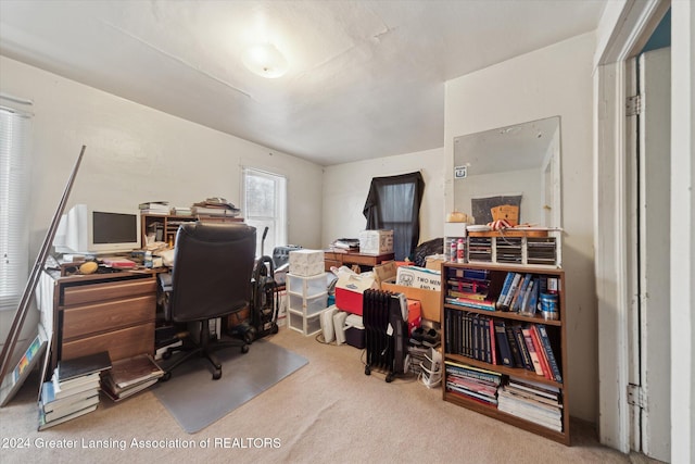 home office with carpet