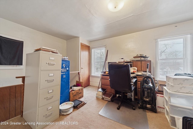 home office with light colored carpet