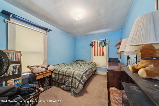 bedroom featuring carpet flooring