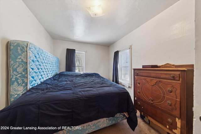 bedroom featuring carpet