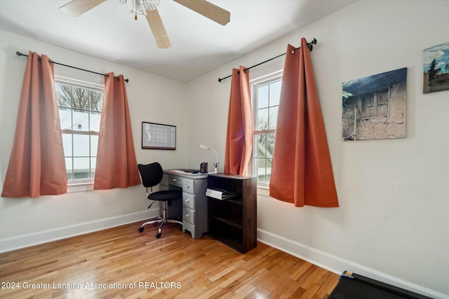 home office featuring light hardwood / wood-style floors, ceiling fan, and a healthy amount of sunlight