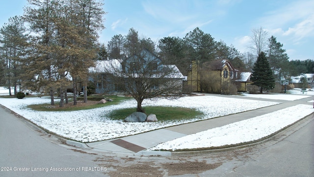 view of property hidden behind natural elements