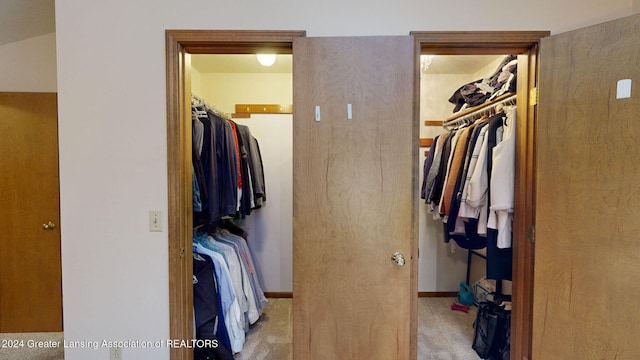 spacious closet featuring light carpet