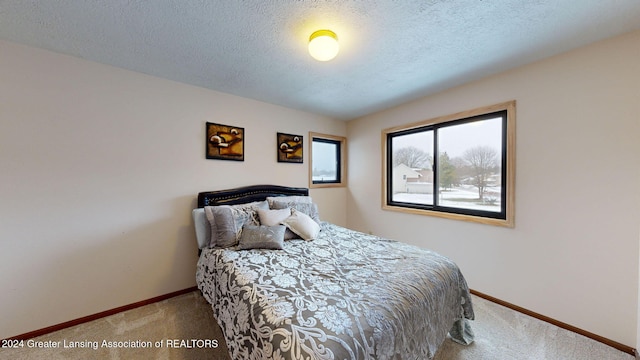 carpeted bedroom with a textured ceiling