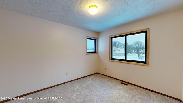 spare room featuring light colored carpet and a textured ceiling