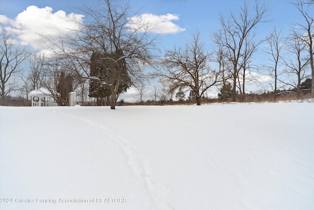 view of yard layered in snow