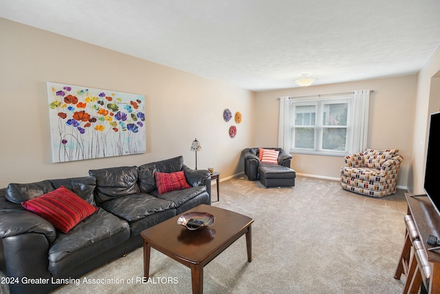 living room featuring carpet flooring