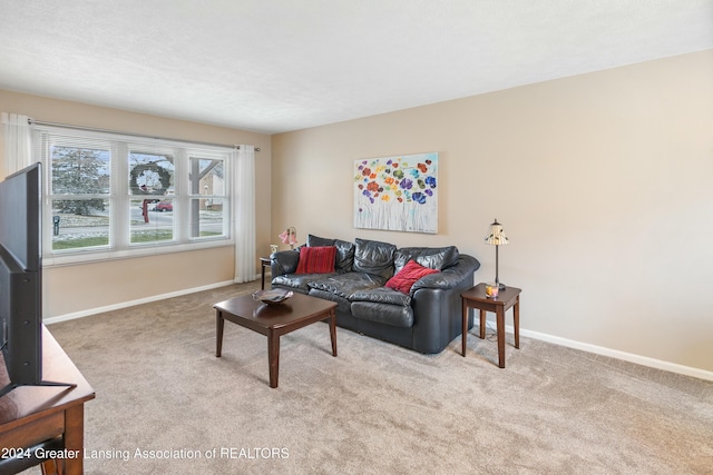 living room featuring light colored carpet