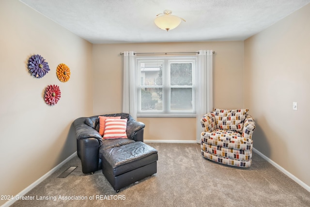 sitting room with carpet flooring