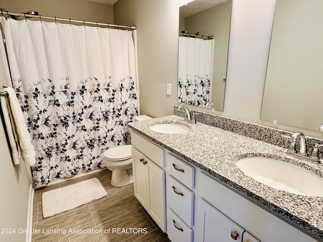 bathroom with toilet and vanity