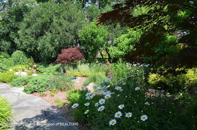 1057 Applegate Ln, East Lansing, MI 48823 - photo 48