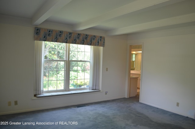 1057 Applegate Ln, East Lansing, MI 48823 - photo 30