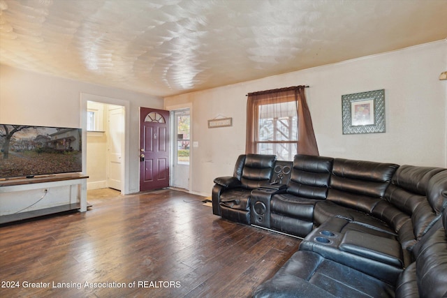 living room featuring dark hardwood / wood-style flooring