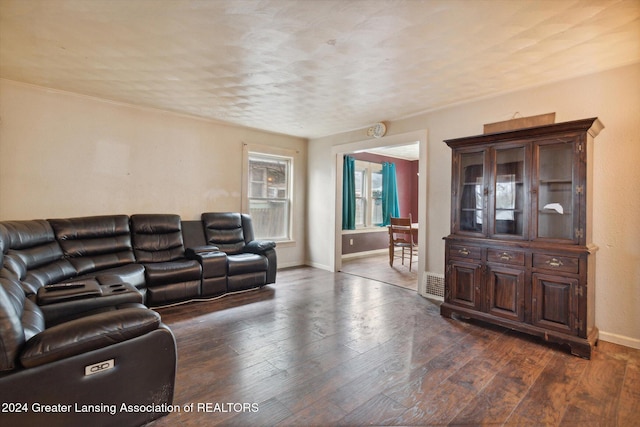 living room with dark wood-type flooring