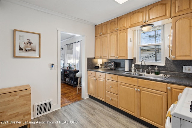 kitchen with sink, light hardwood / wood-style flooring, ornamental molding, a wealth of natural light, and range