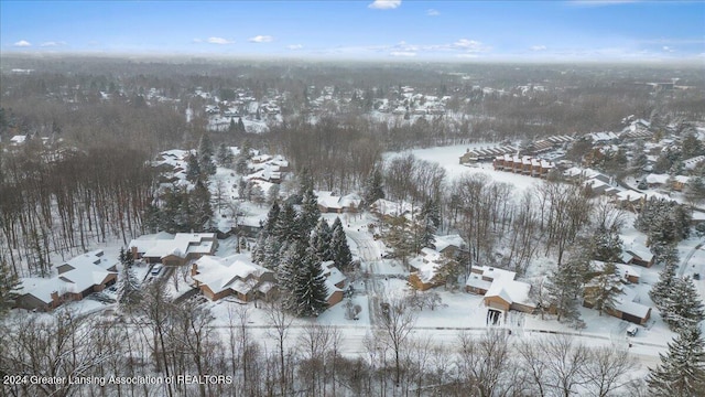 view of snowy aerial view