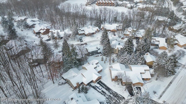 view of snowy aerial view