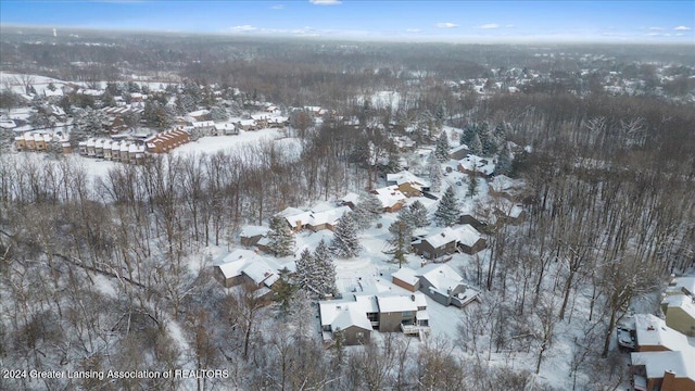 view of snowy aerial view