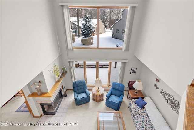 living room featuring a high ceiling