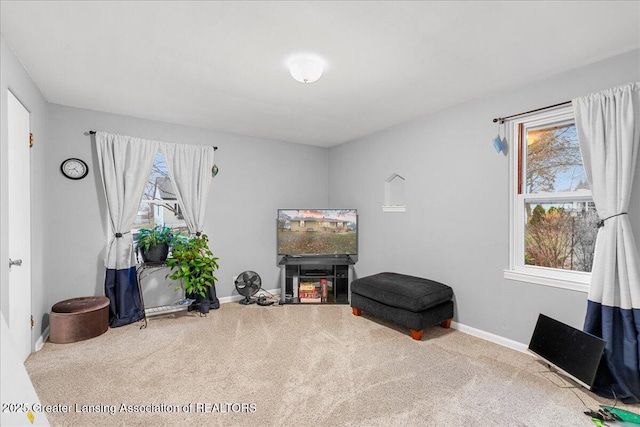 living area with carpet floors