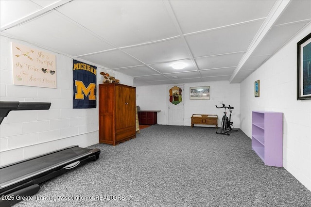 workout room with carpet