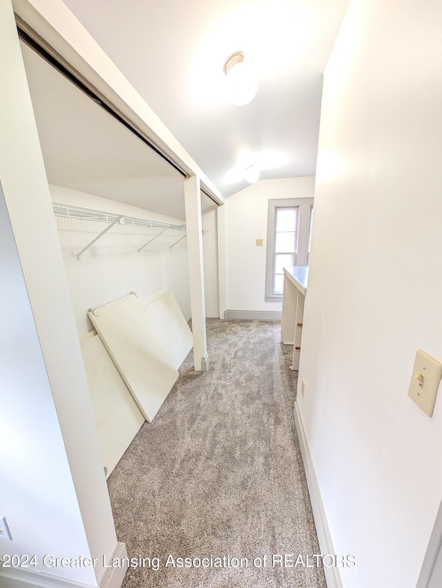 walk in closet with lofted ceiling and light colored carpet