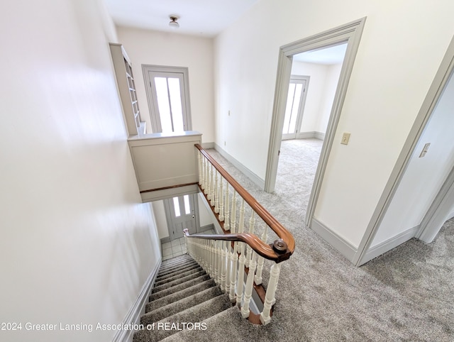 staircase with plenty of natural light and carpet floors