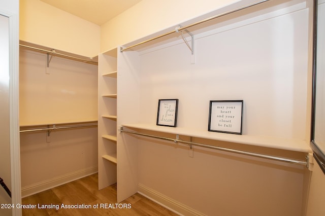 spacious closet with hardwood / wood-style flooring