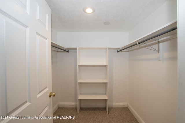 spacious closet featuring carpet flooring