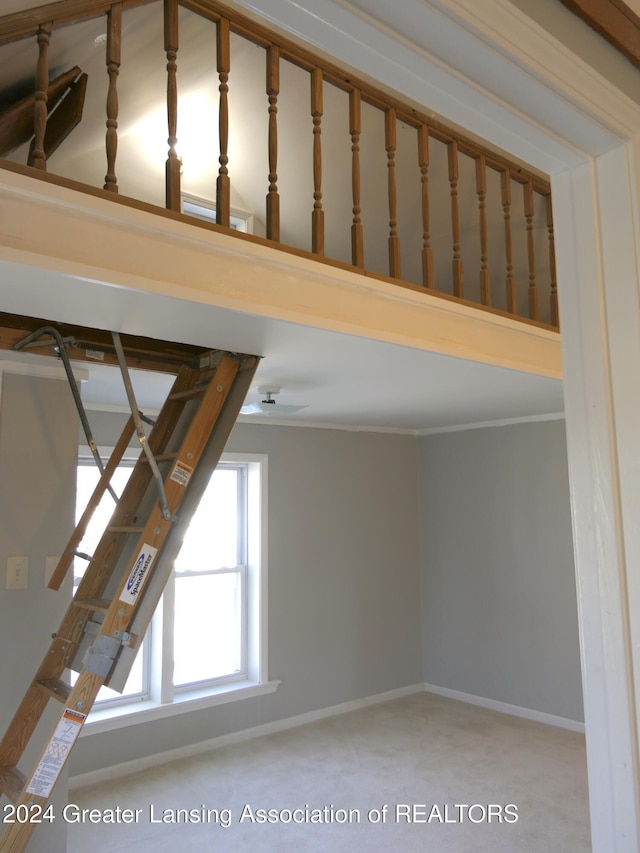 stairway featuring carpet and ornamental molding