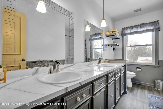 bathroom featuring vanity, hardwood / wood-style floors, and toilet