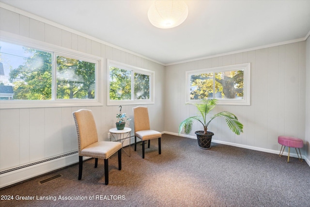 living area featuring carpet flooring, ornamental molding, and a baseboard heating unit