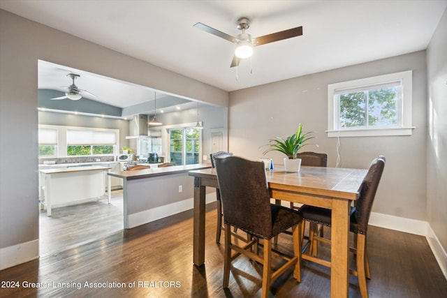 dining room with dark hardwood / wood-style flooring, ceiling fan, and lofted ceiling