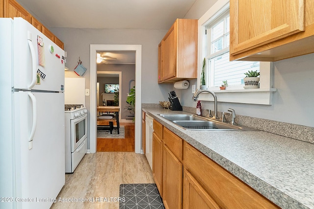 kitchen with white appliances, sink, and light hardwood / wood-style flooring