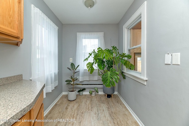 interior space featuring light hardwood / wood-style flooring