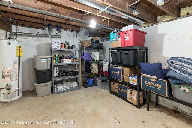 storage room featuring gas water heater