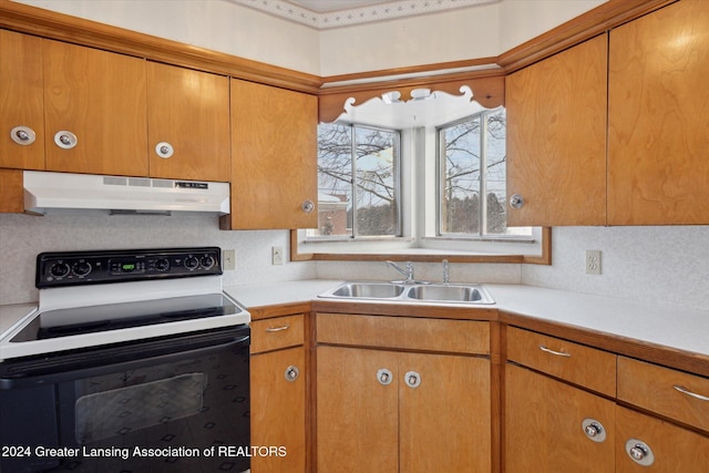 kitchen featuring backsplash, white range with electric cooktop, and sink