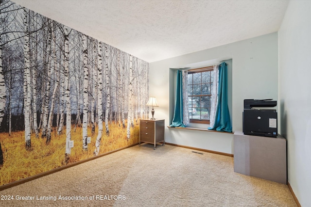 empty room with a textured ceiling and carpet