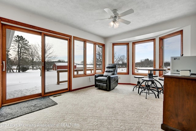 office featuring ceiling fan, carpet floors, and a textured ceiling