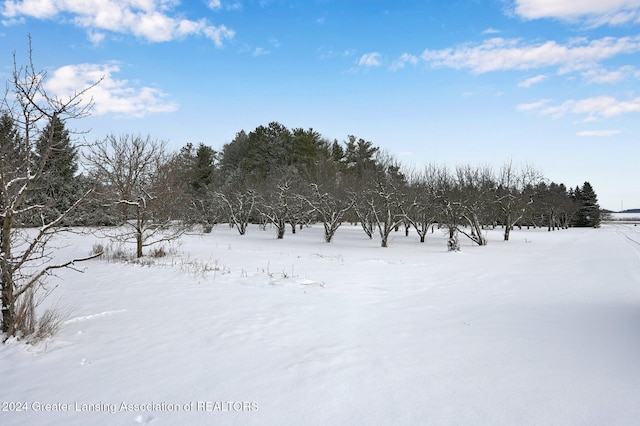 view of snowy view