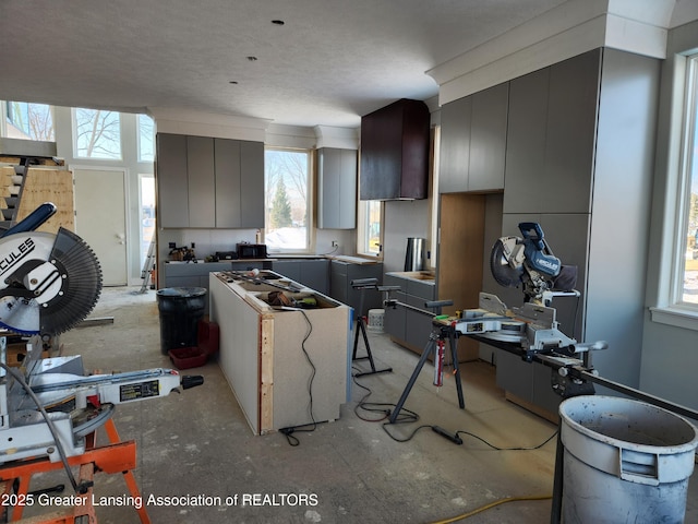 kitchen with modern cabinets