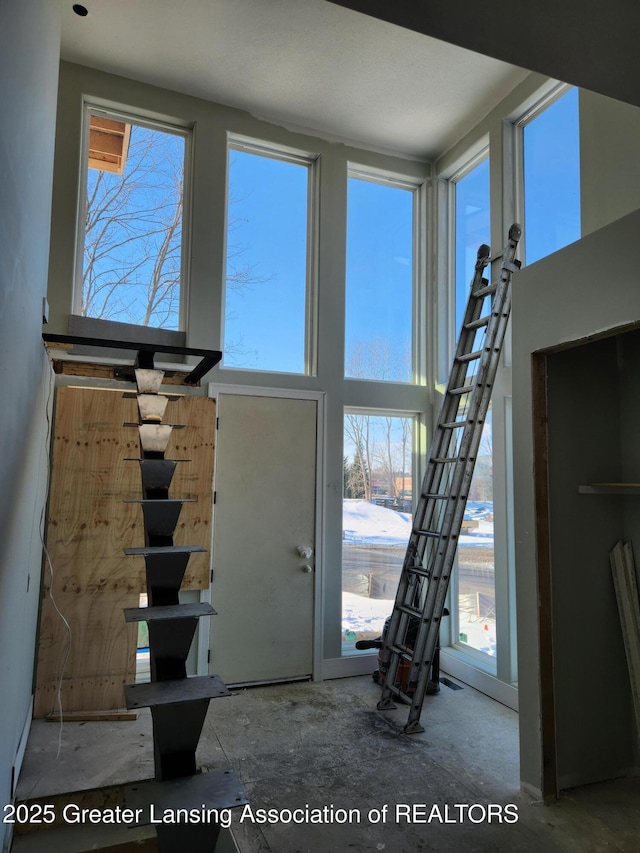 foyer with a towering ceiling