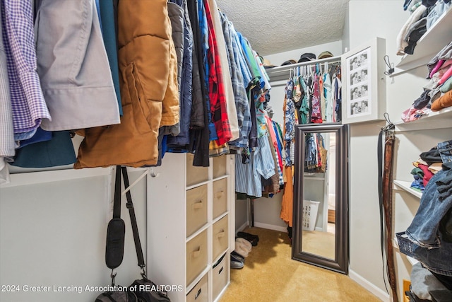 spacious closet featuring light carpet