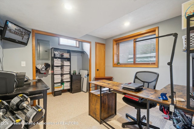 carpeted office featuring electric panel and plenty of natural light