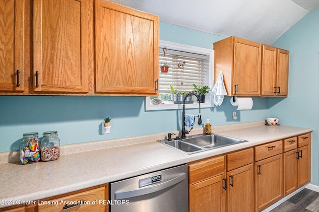 kitchen with dishwasher, dark hardwood / wood-style floors, and sink