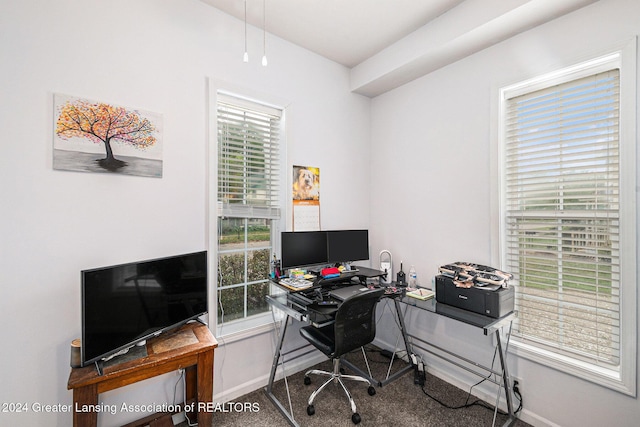 office space with carpet flooring