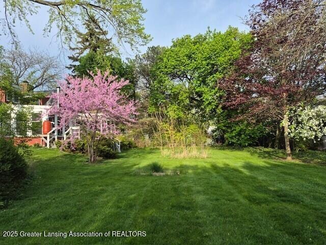 343 Highland Ave, East Lansing, MI 48823 - view of grassy yard