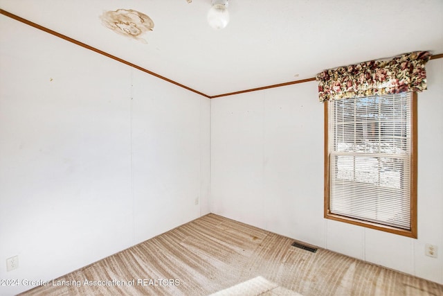 empty room with crown molding and carpet floors