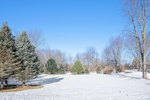 view of yard covered in snow